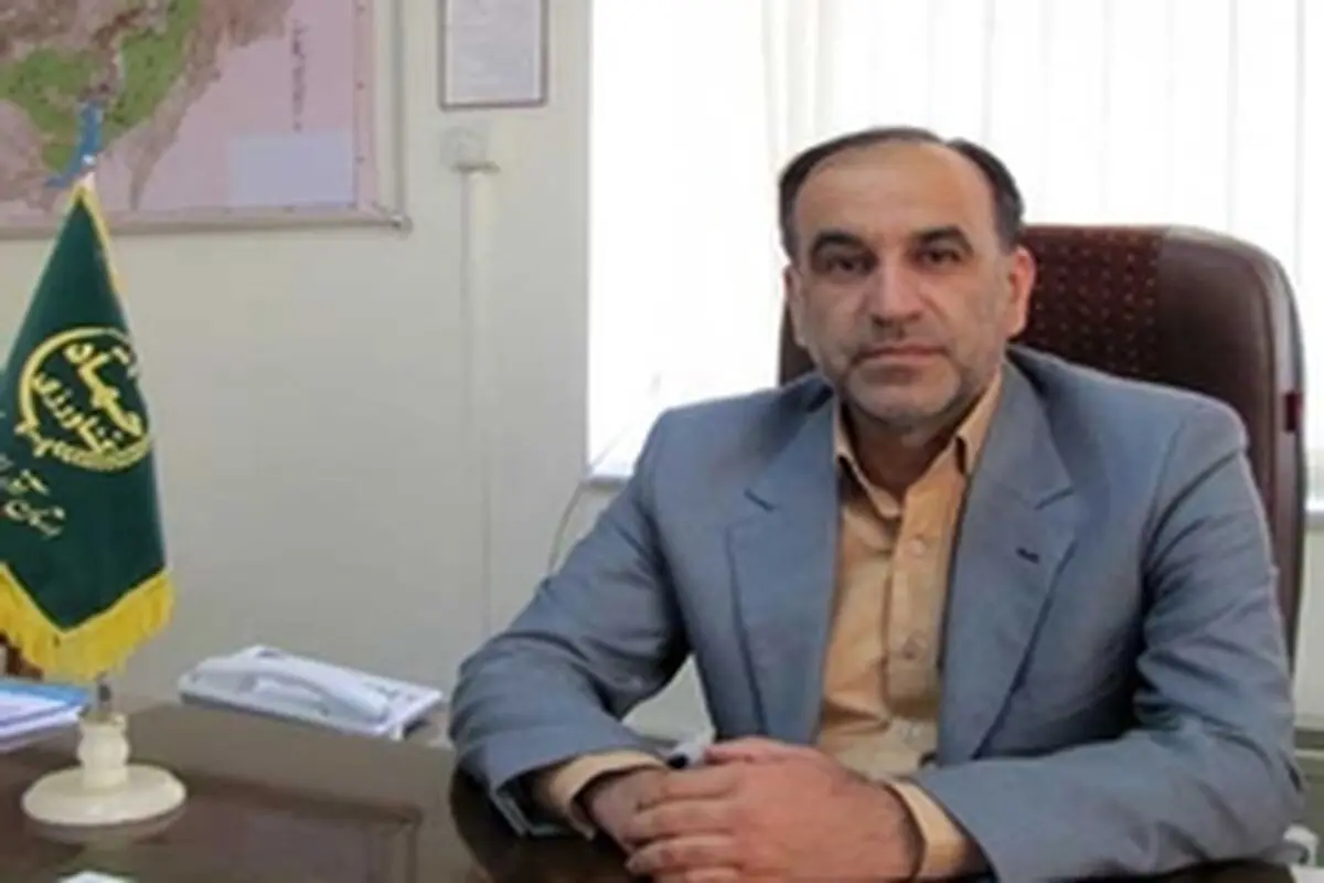 پیش بینی برداشت ۶۵۰ تن لوبیا در میانه