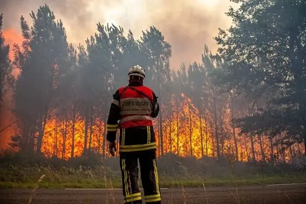 France wildfires force thousands to flee: report