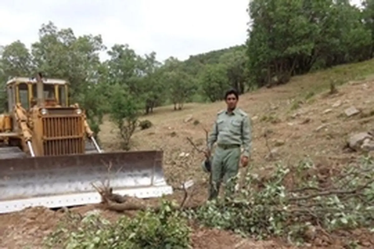 تشکیل ۲۵۰ پرونده زیست محیطی در ۶ ماهه نخست