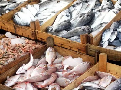 افزایش قیمت آبزیان بیشتر از متوسط تورم مواد غذایی است/ کاهش عرضه و افزایش صادرات دلایل افزایش قیمت