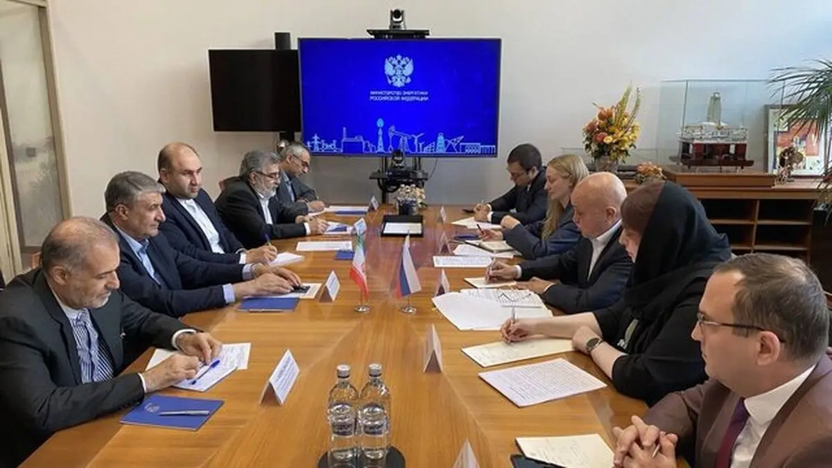 دیدار رئیس سازمان انرژی اتمی ایران با وزیر انرژی روسیه