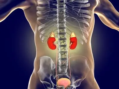 بهترین اورولوژیست‌ مشهد