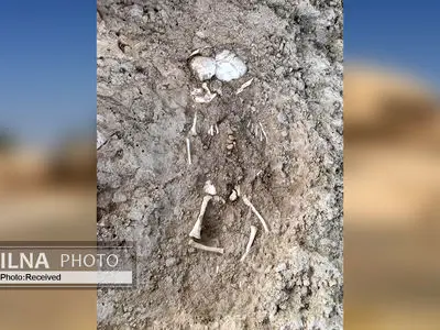 کشف اسکلت نوزاد چند ماهه در دیوار/ گل‌های پخته‌شده در کاوش‌های تپه سیلک بدست آمد