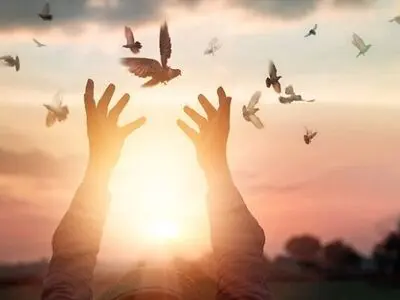 مشارکت بنیاد برکت در تولید ۱۰ هزار پابند الکترونیکی