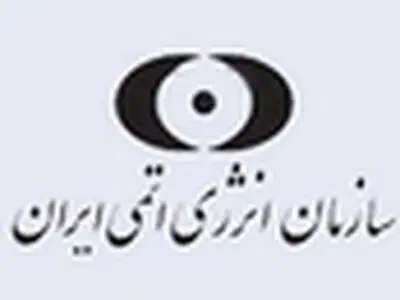 دیدار معاون سازمان انرژی اتمی با رییس روس اتم