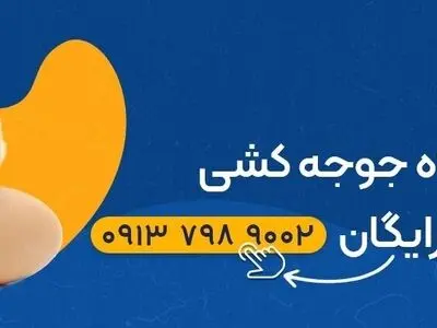 چگونه با جوجه کشی پرندگان، سودی پایدار در اقتصاد امروز ایران کسب کنیم؟
