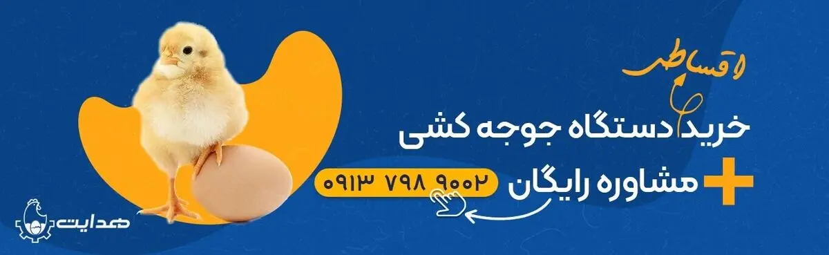 چگونه با جوجه کشی پرندگان، سودی پایدار در اقتصاد امروز ایران کسب کنیم؟
