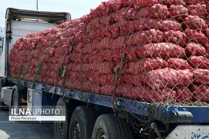 ممنوعیت واردات گوجه‌فرنگی و پیاز به عراق لغو شد