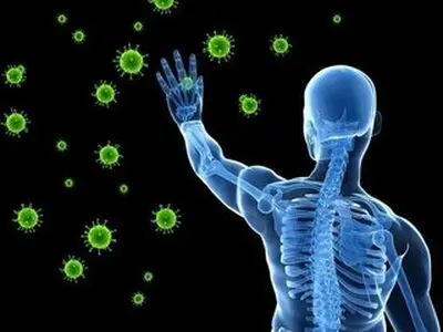خوراکی‌هایی که سبب تقویت سیستم ایمنی بدن می‌شوند