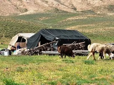 تاکید مدیرکل دفتر مرتع سازمان منابع طبیعی بر رعایت تقویم کوچ پاییزه