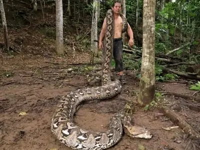 بارونس؛ درازترین مار وحشی جهان + عکس