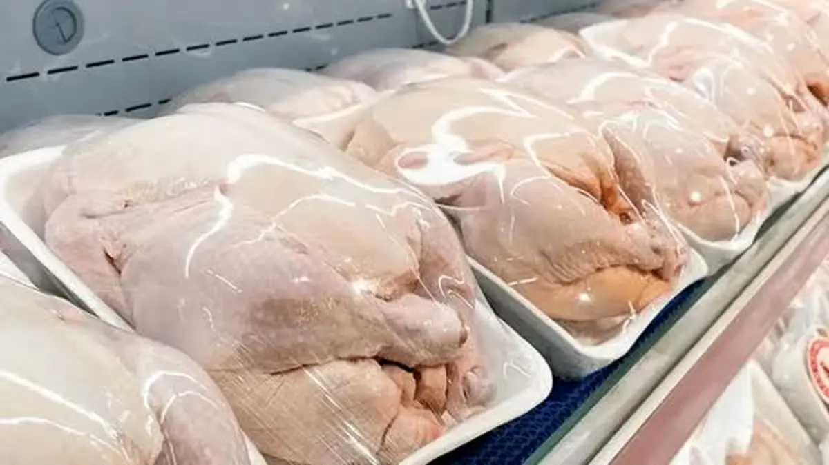 ذخیره‌سازی ۲۶۱۶ تن گوشت مرغ در فارس
