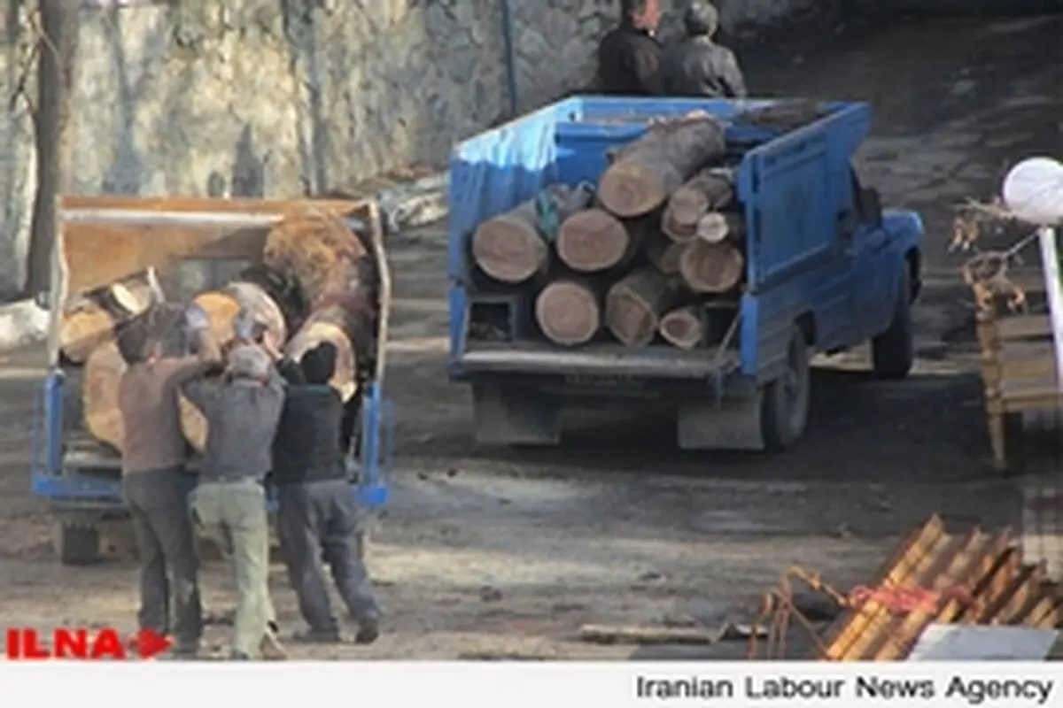 ابطال تغییر کاربری باغ معنوی از فضای سبز به مسکونی