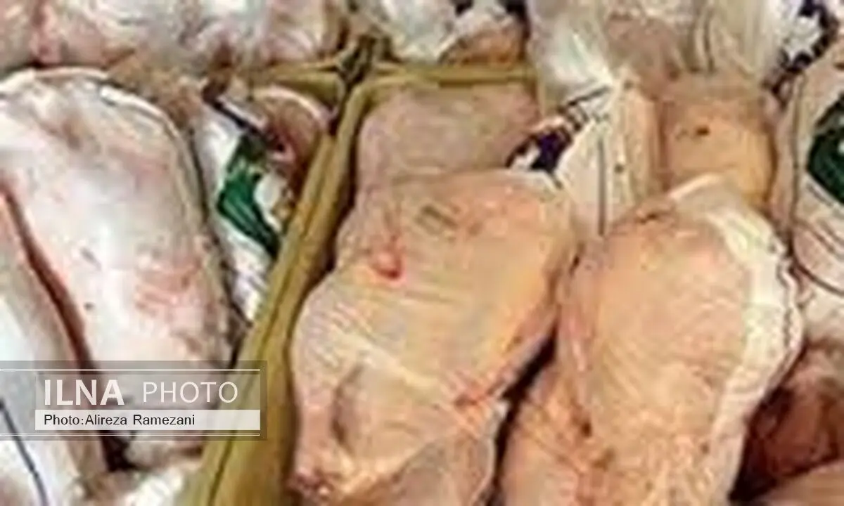 معدوم‌سازی بیش از ۲۰۰ کیلو مرغ منجمد در شهرستان لالی 