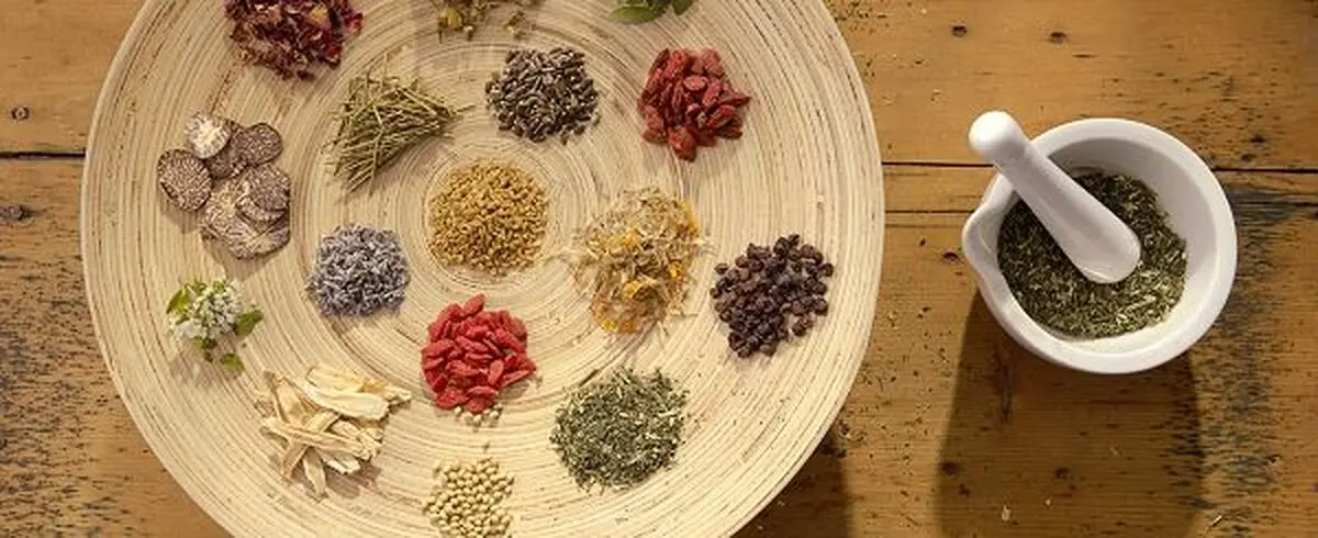 طرح ملی گیاهان دارویی کشور به تصویب رسید