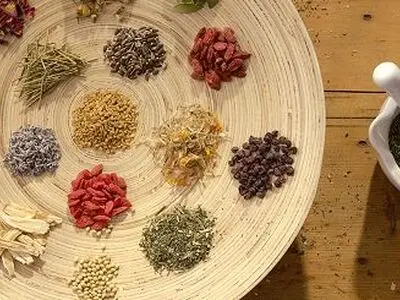 طرح ملی گیاهان دارویی کشور به تصویب رسید