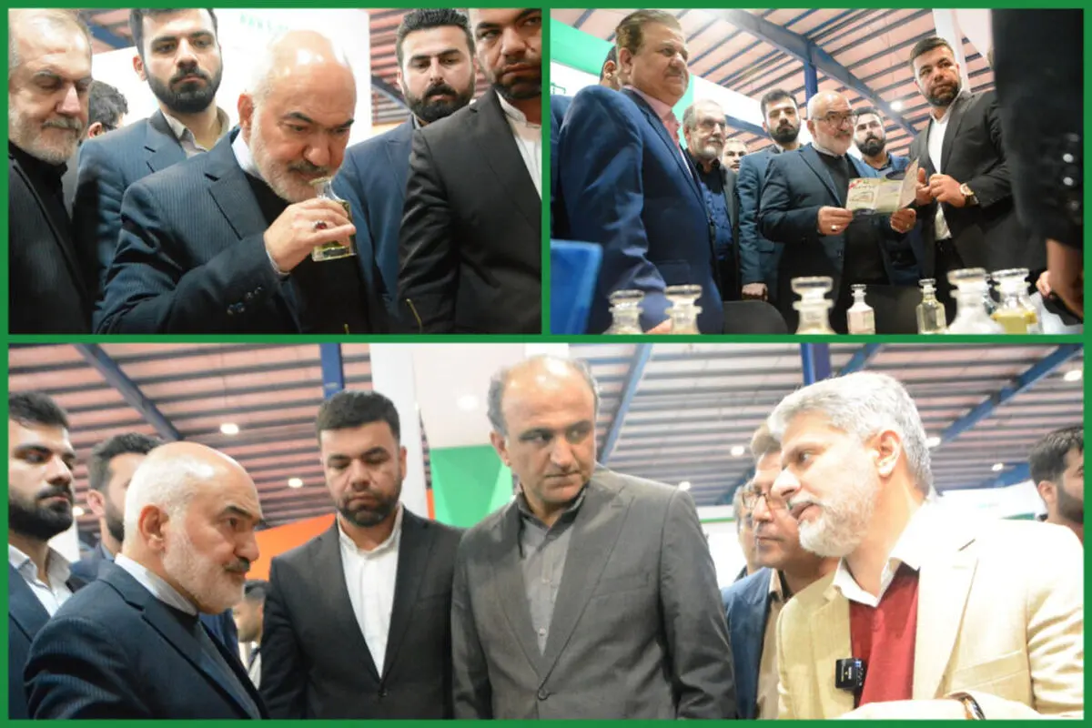 تأکید بر حمایت از کشاورزی دانش‌بنیان
