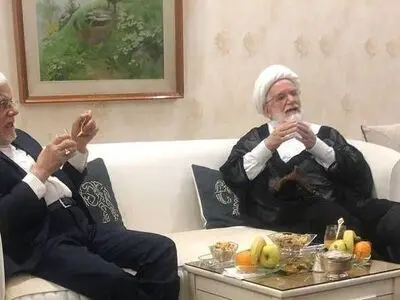 دیدار عارف با کروبی 