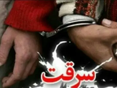 کشف 85 فقره سرقت و دستگیری 29 سارق 