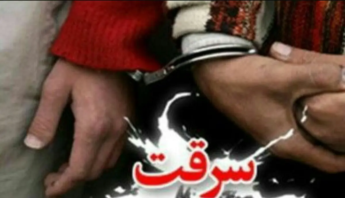 کشف 85 فقره سرقت و دستگیری 29 سارق 