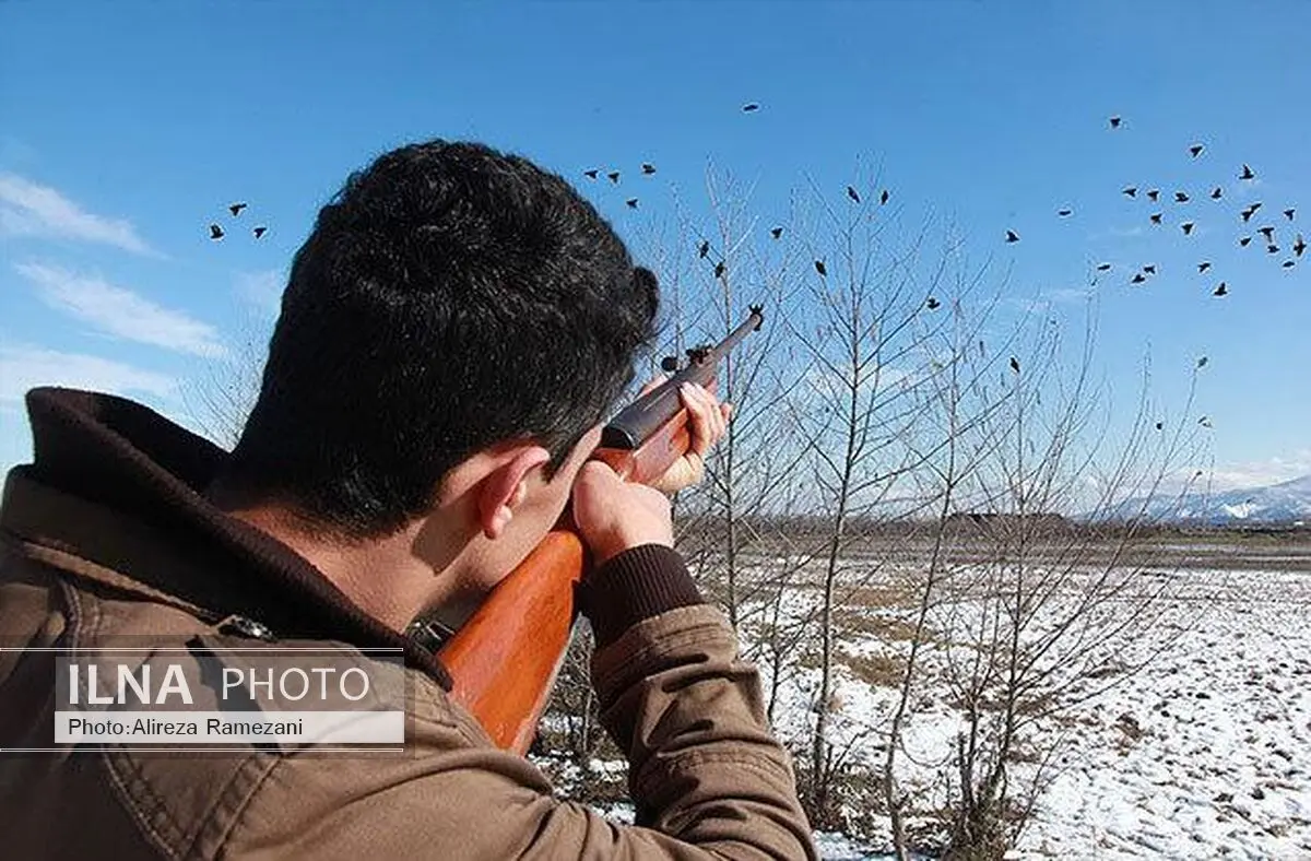 آغاز فصل شکار پرندگان وحشی در گیلان 