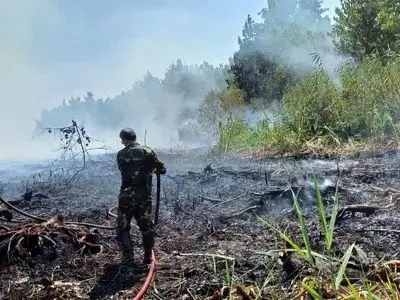 یک‌هکتار از اراضی تالاب انزلی طعمه حریق شد
