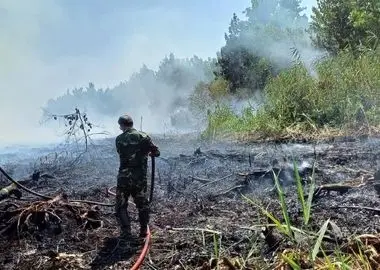 یک‌هکتار از اراضی تالاب انزلی طعمه حریق شد