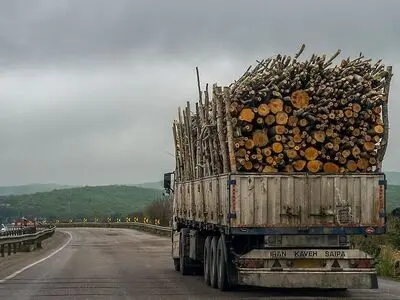 نوروز امسال جابجایی و خروج بار چوب در گلستان ممنوع است