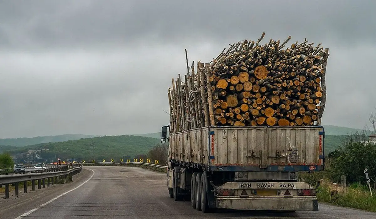 نوروز امسال جابجایی و خروج بار چوب در گلستان ممنوع است