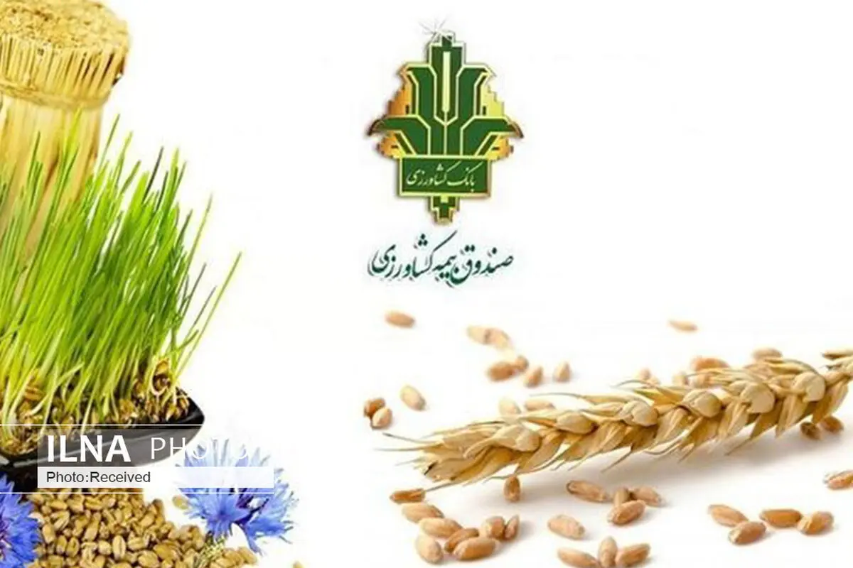  افزایش ۴۹ درصدی بیمه محصولات زراعی در قزوین
