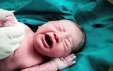 ثبت بیش از ۱۷ هزار ولادت در آذربایجان‌غربی از ابتدای امسال
