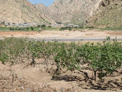 برداشت بی رویه و عدم رعایت اصولی مصرف از عوامل کمبود آب است