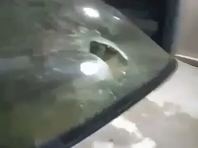 asdasd