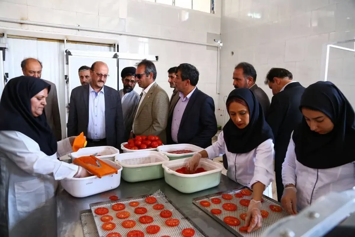 بهره برداری از یک واحد صنایع تبدیلی در شهرستان آوج