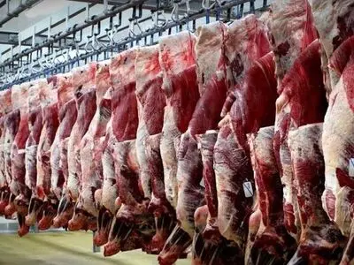 اجرای پروژه کشتارگاه صنعتی داودآباد گامی مؤثر در توسعه دامپروری منطقه