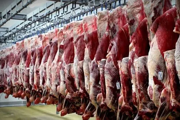 اجرای پروژه کشتارگاه صنعتی داودآباد گامی مؤثر در توسعه دامپروری منطقه