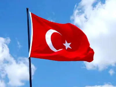asdasd