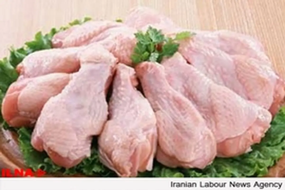 مرغ گران می شود