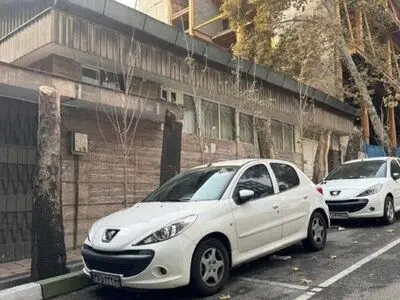 ورود دادستانی به موضوع قطع چند درخت در خیابان فرشته تهران