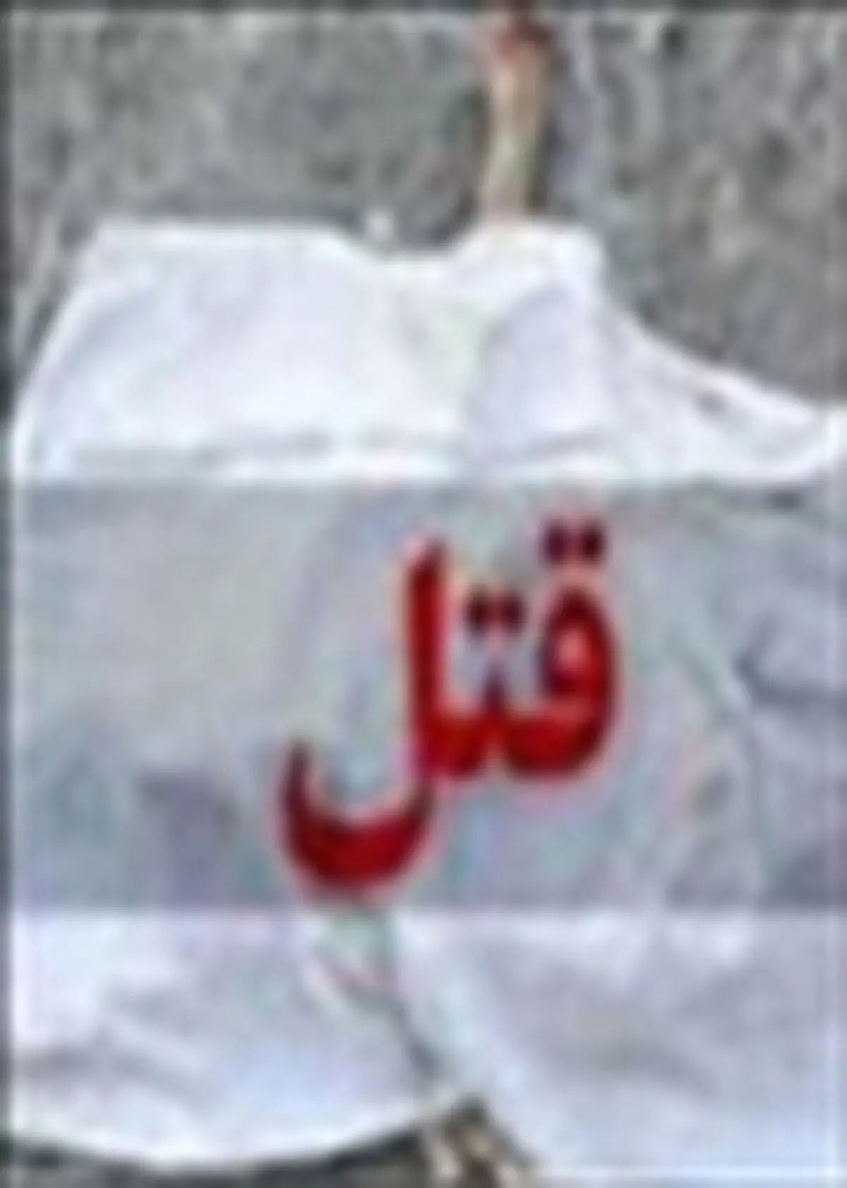 قاتل معتاد پس از کشتن زنش خودکشی کرد