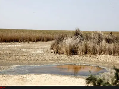 با ساخت سد "ایلیسو"امیدی به‌احیای هورالعظیم نیست /فاجعه زیست‌محیطی درانتظارمردم‌ جنوب‌وغرب‌ ایران