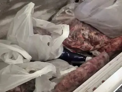 کشف بیش از ۱۰۰ کیلوگرم گوشت فاسد و سنگدان غیربهداشتی در تبریز