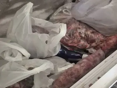 کشف بیش از ۱۰۰ کیلوگرم گوشت فاسد و سنگدان غیربهداشتی در تبریز