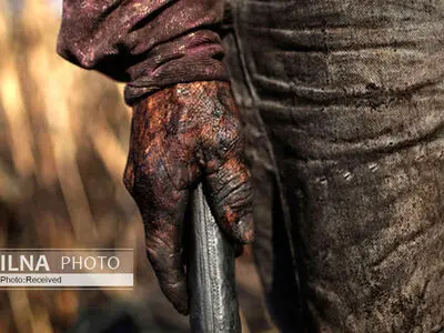 چرا تامین اجتماعی بحرانی شد؟ / دستِ کارگران و بازنشستگان از مدیریت اموال‌شان کوتاه است