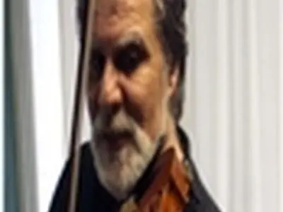 ناامیدی از ارکسترها؛ جوانان را به سمت کارهای خصوصی کشانده‌است