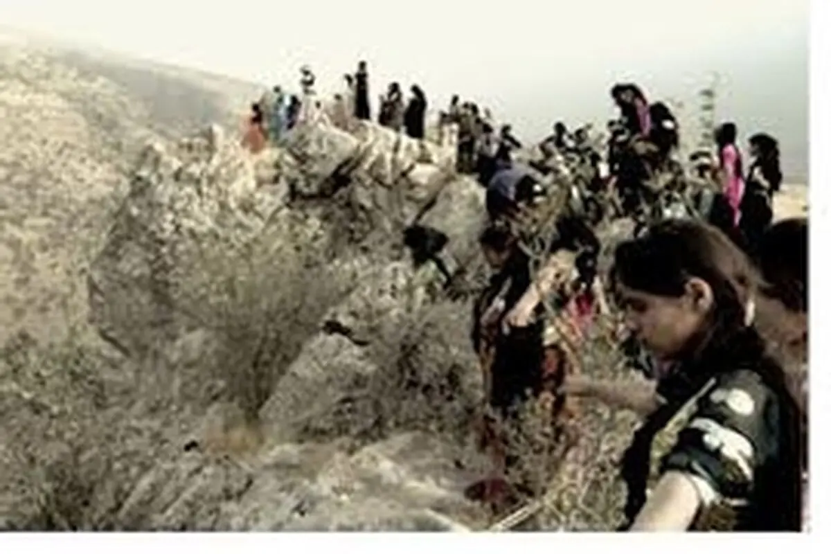 سرنوشت «قصه درختان بلوط» در دستان رضاداد