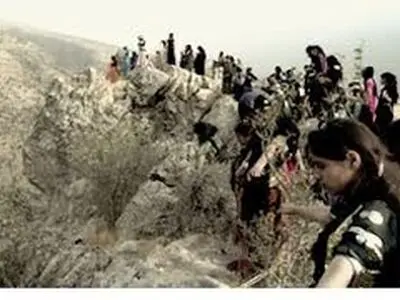 سرنوشت «قصه درختان بلوط» در دستان رضاداد