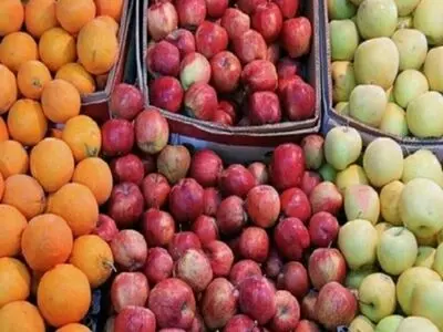 آغاز توزیع سیب و پرتقال با قیمت مصوب در کرج 