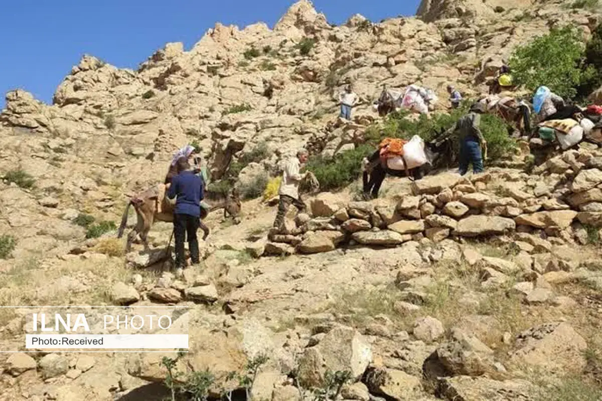 کوچ عشایر قزوین تا نیمه مهرماه ادامه دارد