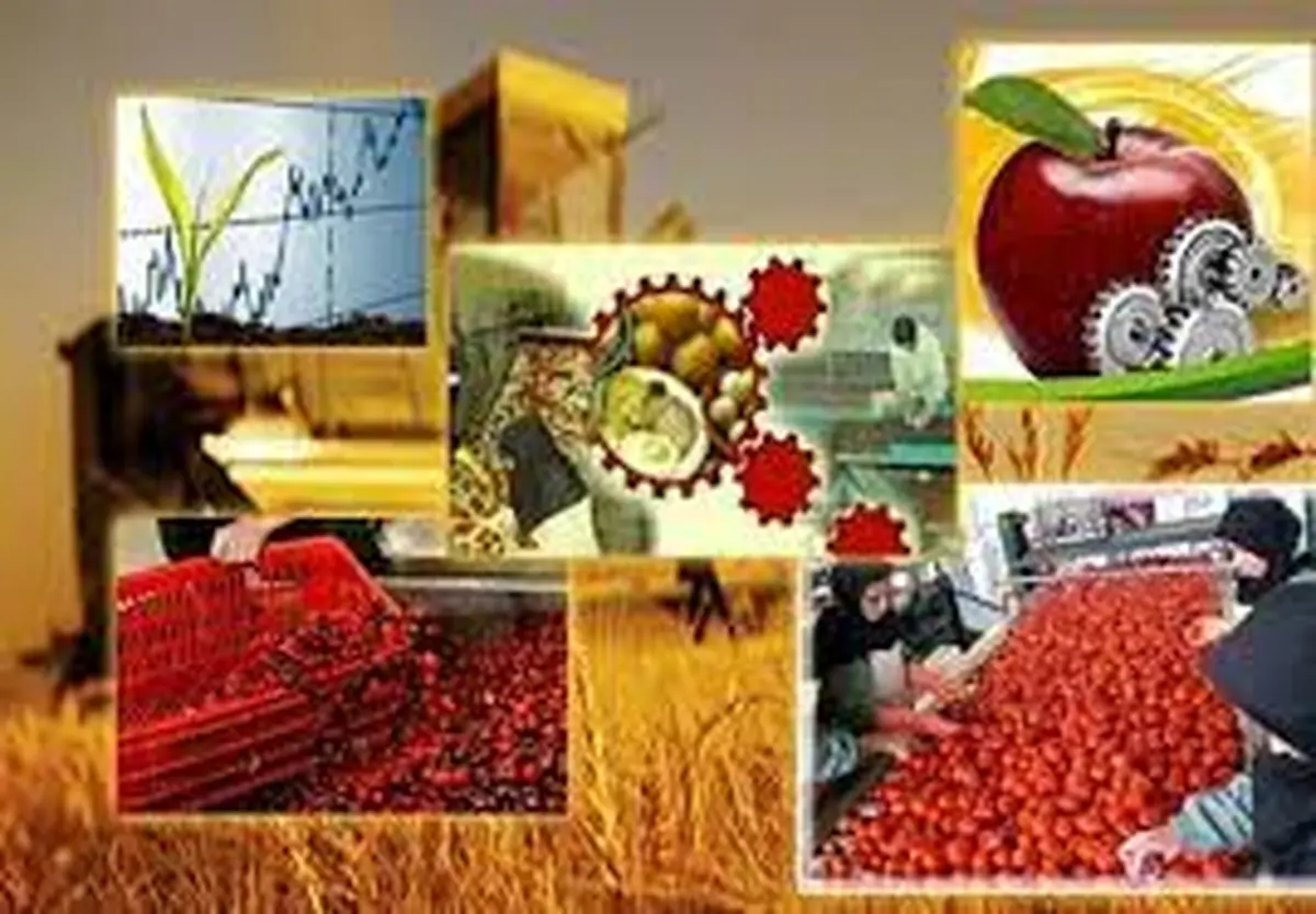 خط اعتباری صنایع تبدیلی و غذایی، مطالبه فعالان بخش کشاورزی